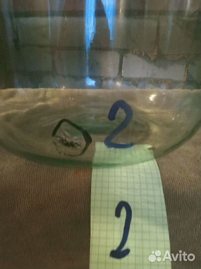 Бутыль стеклянная 20л