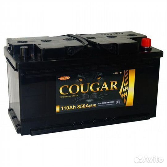 Аккумулятор на 110 Ач Cougar Power