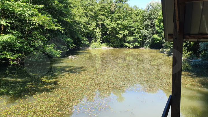 Участок 5 сот. (ИЖС)