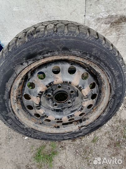 Nordman Nordman 4 205/55 R16