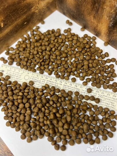 Корм для собак