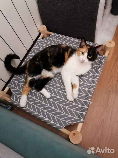 Лежанка для животных