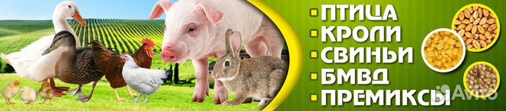 Комбикорм, кормосмеси, зерно