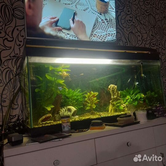 Аквариум