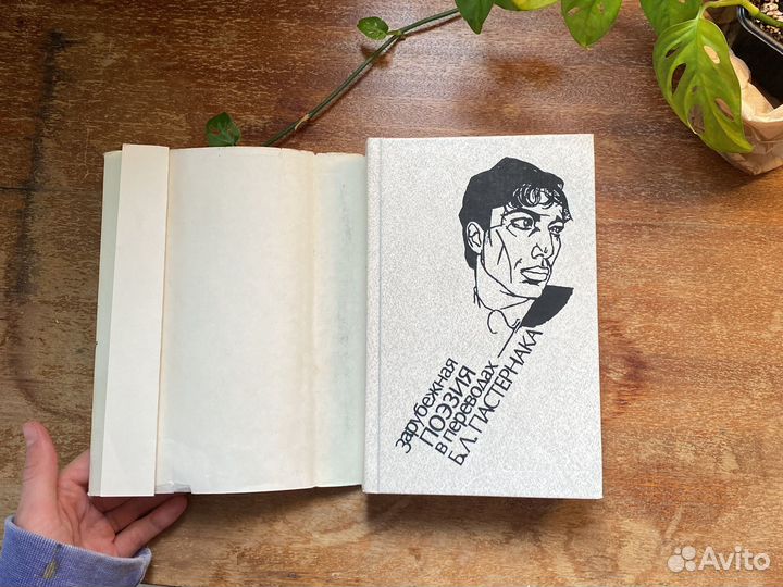 Зарубежная поэзия в пер.Пастернака
