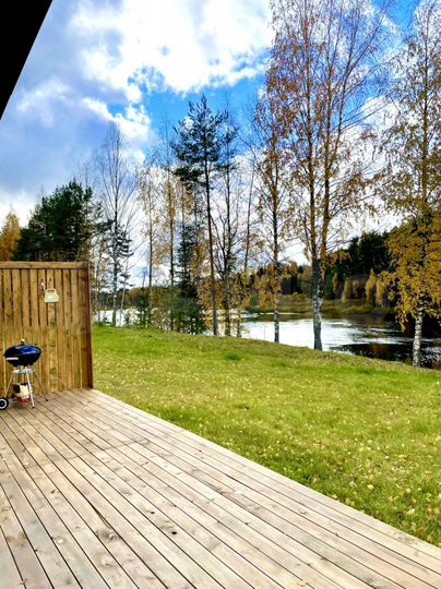 Дом 43 м² на участке 25 сот.