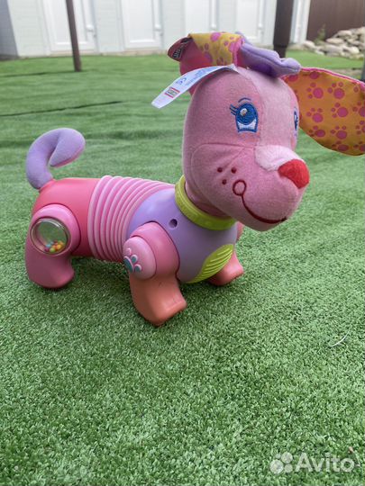 Собака на батарейках