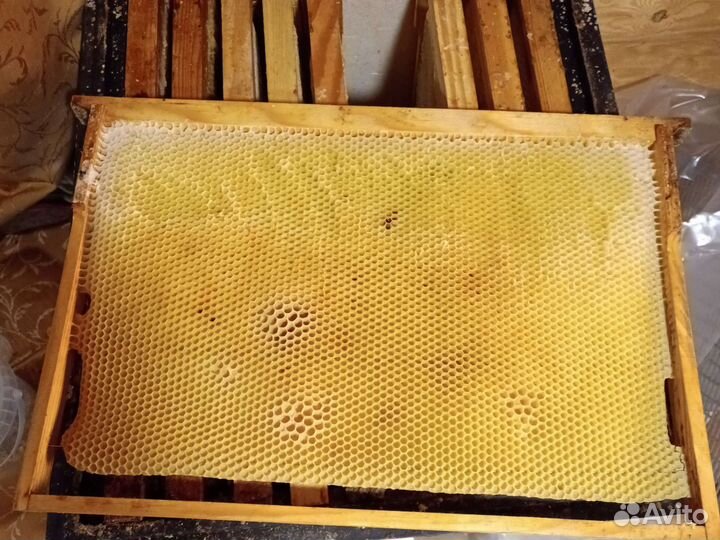 Сушь дадан для пчёл