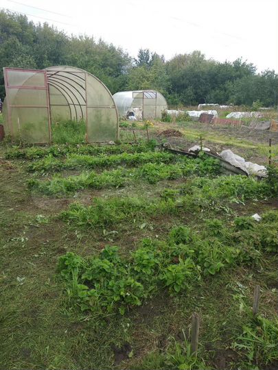 Участок 4,7 сот. (СНТ, ДНП)