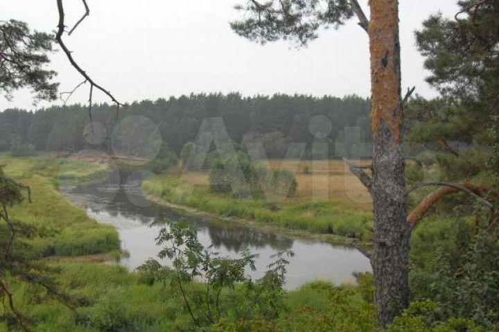 Участок 10 сот. (ИЖС)