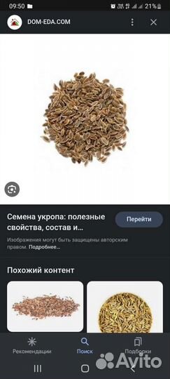 Семена укропа