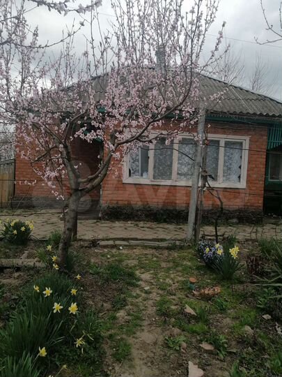 Дом 49,8 м² на участке 15 сот.