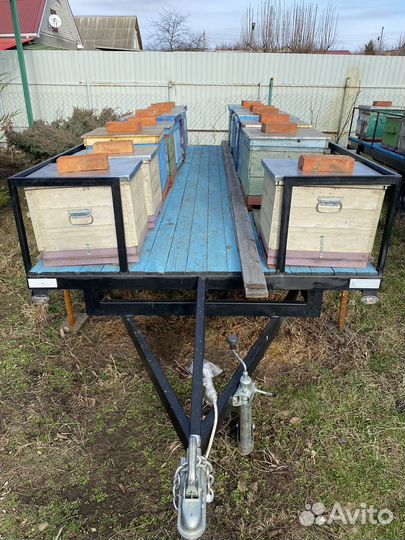 Мед, соты, сотовый мед