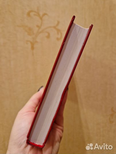 Книги (Лариса Ренар)
