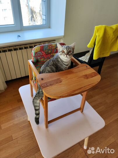 Стульчик для кормления СССР