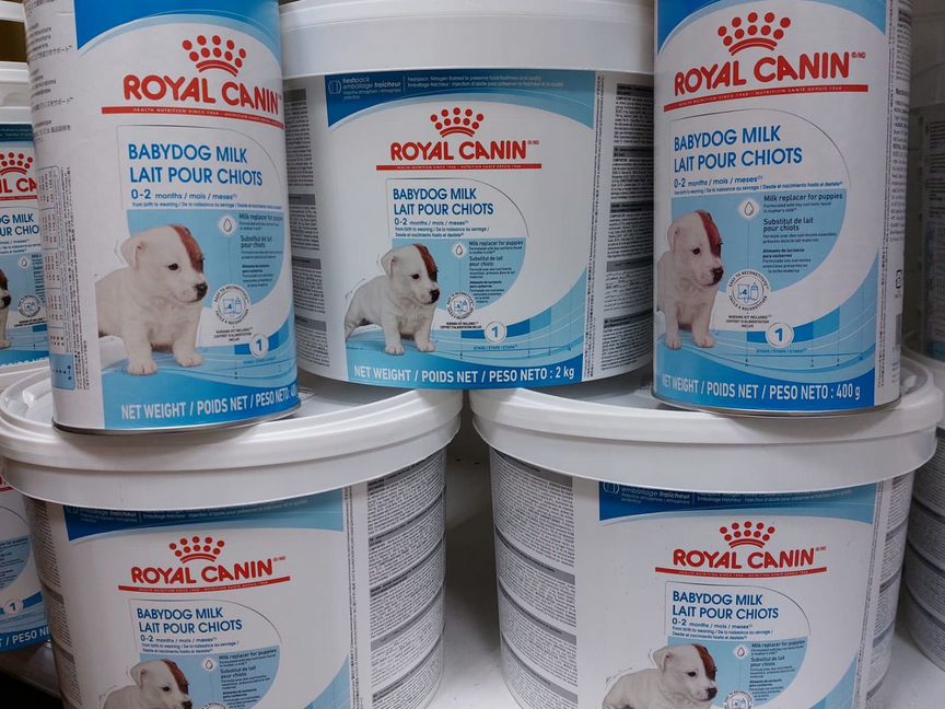 Сухое молоко для щенков Royal canin Babydog milk