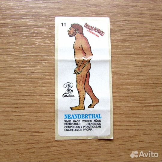 Вкладыш наклейка dinosaurios neanderthal