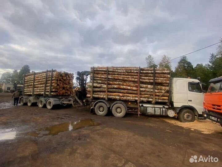 Дрова с доставкой