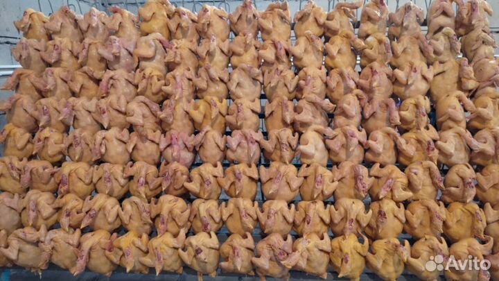 Куры свежие халяль