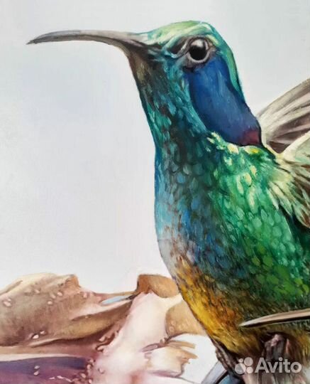 Картина маслом на холсте Колибри Яркие цветы