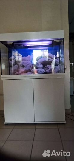 Аквариум 220 свет биофильтр фон подставка