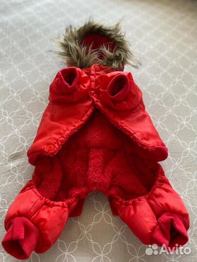 Комбинезон для маленькой собаки