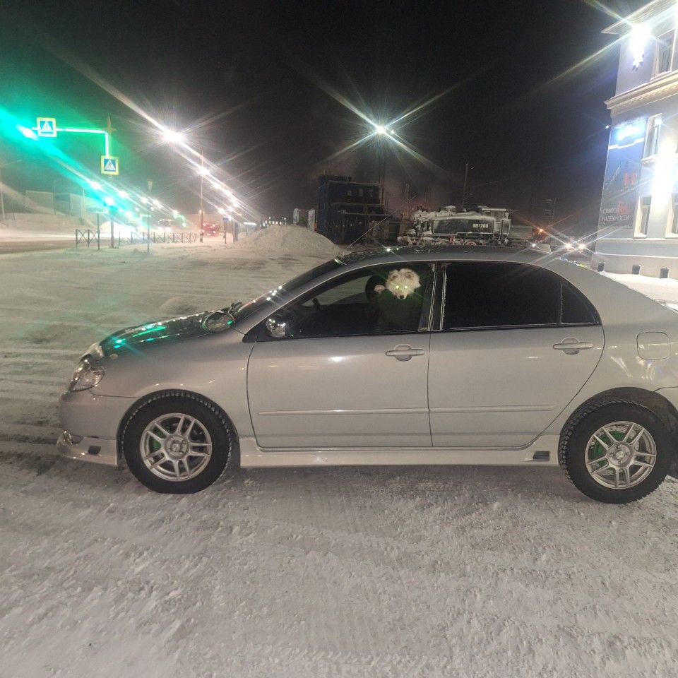 Toyota Corolla: фото владельца