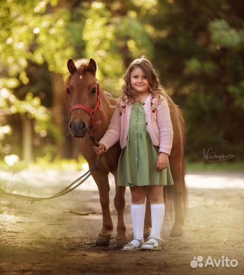 Аренда кареты, катание на лошадях, фотосессии