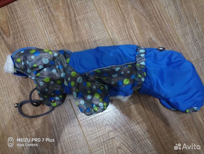 Одежда для маленьких собак