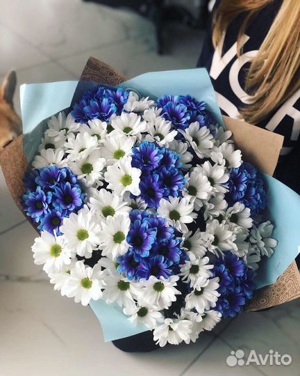 Хризантема Букеты Свежие Цветы Доставка Пермь