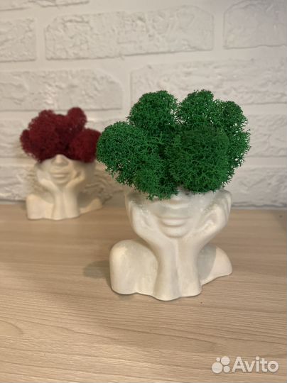 Кашпо со мхом Мечтательница