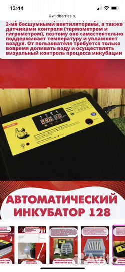 Инкубатор для яиц автоматический бу