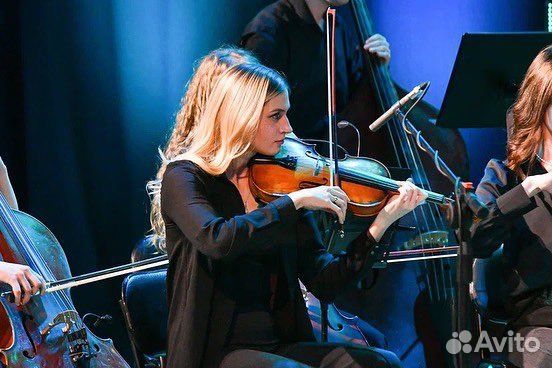 Скрипач на праздник, скрипачка, скрипка, репетитор