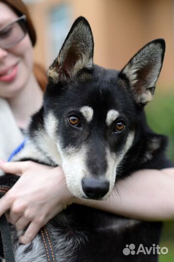 Арсюша милый мальчик