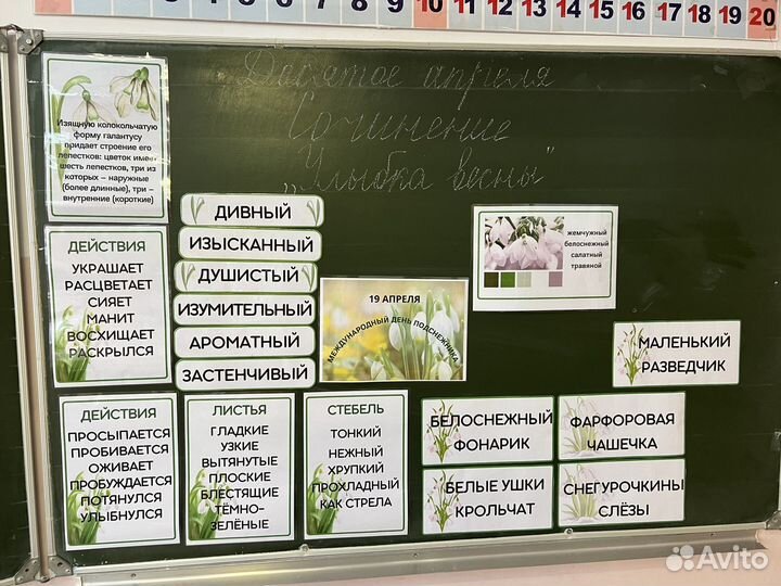 Подготовка к школе. Ранее развитие детей