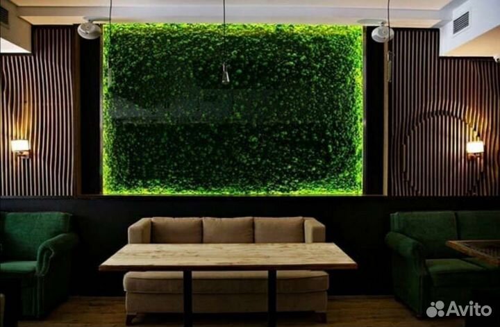 Мох стабилизированный ягель картина с подсветкой