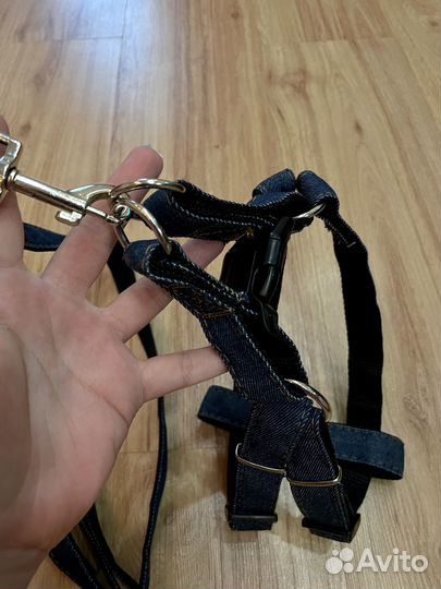 Джинсовая шлейка с поводком для собаки