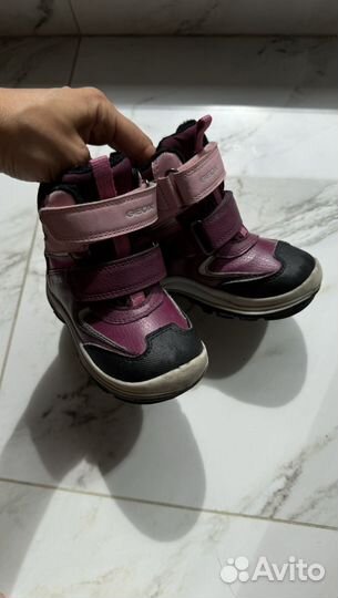 Сапожки geox, кеды reserved, размер 22-24, за всё