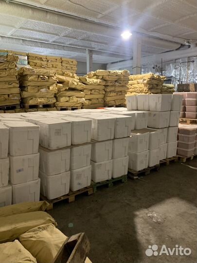 Продам икру