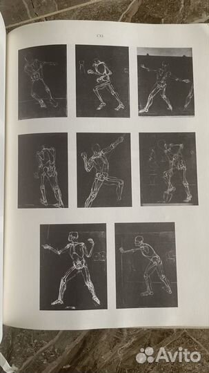 Книга Анатомия для художников. Ёне Барчаи