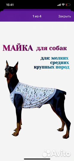 Майка для крупной собаки