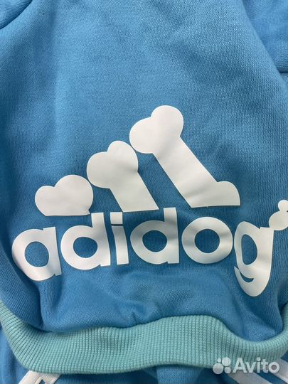 Костюм для собаки