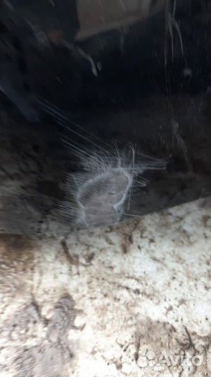 Бампер передний Toyota Land Cruiser