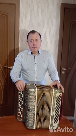 Баянист на праздник