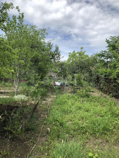 Участок 7,1 сот. (СНТ, ДНП)