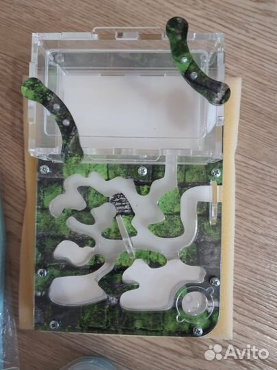 Муравьиная ферма