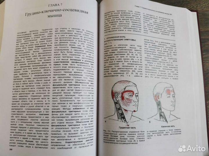 Миофасциальные боли и дисфункции. Трэвелл и Симонс