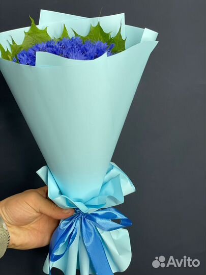 Васильки цветы