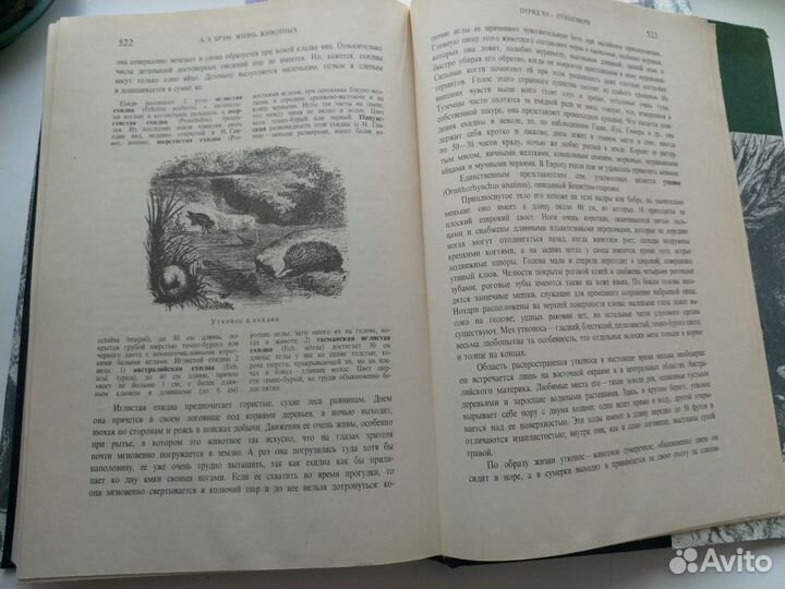 Жизнь животных, в 3 томах (А.Э.Брэм)