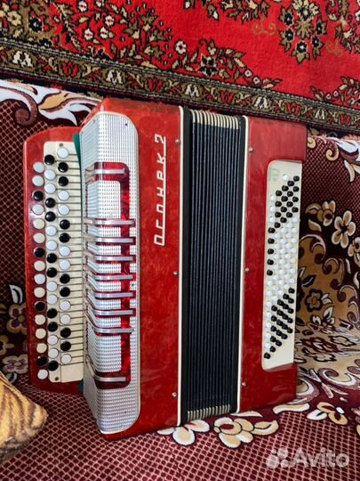 Баян Огонек 2